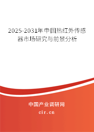 2025-2031年中國(guó)熱紅外傳感器市場(chǎng)研究與前景分析